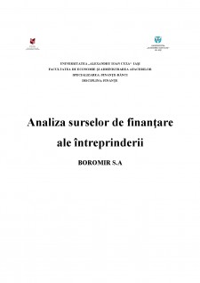 Analiza surselor de finanțare ale întreprinderii Boromir S.A - Pagina 1