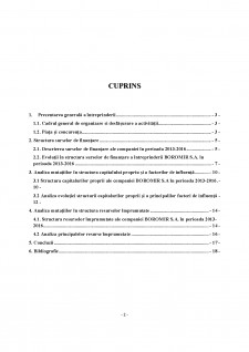 Analiza surselor de finanțare ale întreprinderii Boromir S.A - Pagina 2