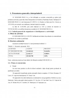 Analiza surselor de finanțare ale întreprinderii Boromir S.A - Pagina 3