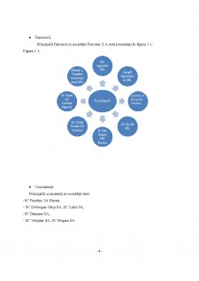 Analiza surselor de finanțare ale întreprinderii Boromir S.A - Pagina 4