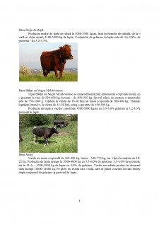 Identificarea speciilor și raselor furnizoare de carne și lapte - Pagina 3