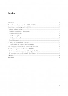 Instrumentarea contabilă a contractelor de leasing conform IFRS 16 - Pagina 2