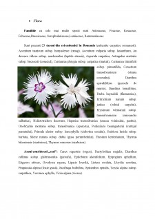 Valorificarea turistică a învelișului biotic din ariile protejate - Parcul Național Ceahlău - Pagina 5