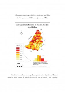 Analiza geo-demografică a macro-județului Arad-Bihor - Pagina 2