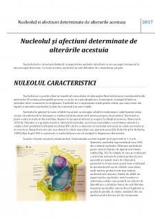 Nucleolul și afecțiuni determinate de alterările acestuia - Pagina 2