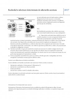 Nucleolul și afecțiuni determinate de alterările acestuia - Pagina 4