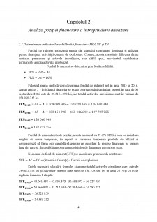 Raport de analiza SC Aerostar SA - managament financiar - Pagina 5