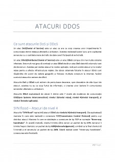 Atacuri DDoS - Pagina 3