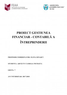 Gestiunea financiar - contabilă a întreprinderii - Pagina 1