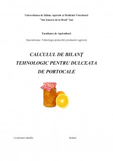 Calculul de bilanț tehnologic pentru dulceata de portocale - Pagina 1