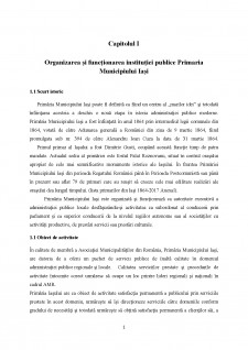 Gestiunea financiară a instituțiilor publice - Organizarea gestiunii financiare la Primăria Municipiului Iași - Pagina 3