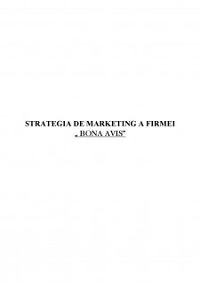 Strategia de marketing a firmei Bona Avis - Pagina 2