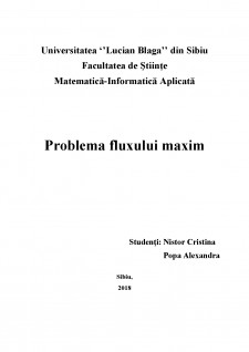 Problema fluxului maxim - Pagina 1