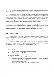 Proiectarea și organizarea întreprinderii S.C. BaseCamp S.R.L. - Pagina 5