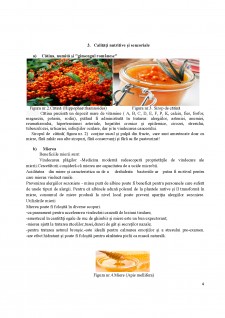 Bonbons de carottes - Pagina 5