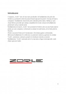 Studiu de caz - Compania Zorile - Pagina 3