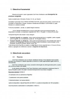 Planul managerial al firmei SC Cold Trans Distribution SRL - Pagina 3