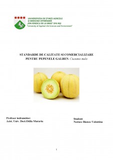 Standarde de calitate și comercializare pentru pepenele galben - Pagina 1