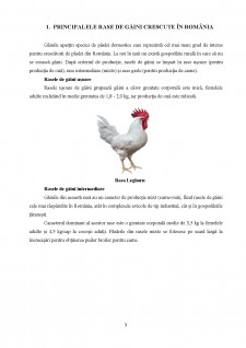 Căi de creștere a producției și a eficienței în creșterea păsărilor de carne - Pagina 3