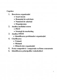 Management strategic - Samsung - Pagina 2