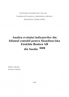 Analiza evoluției indicatorilor din bilanțul contabil pentru Skandinaviska Enskilda Banken AB din Suedia - Pagina 1