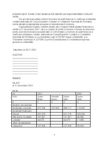 Raport de audit finaciar SC Beta SRL - Pagina 4