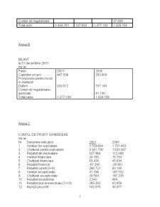 Raport de audit finaciar SC Beta SRL - Pagina 5