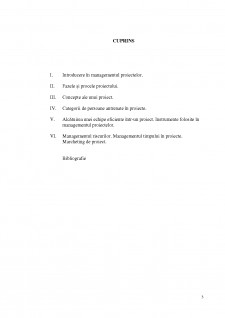 Managementul proiectelor - Pagina 3