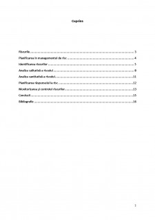 Ingineria și managementul sistemelor de afaceri - Pagina 2