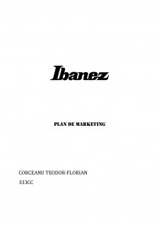 Ibanez - Plan de marketing - Pagina 1