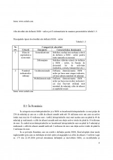 IMM - definiție și caracteristici - Pagina 4