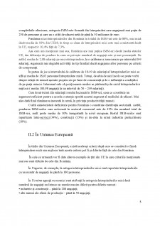 IMM - definiție și caracteristici - Pagina 5