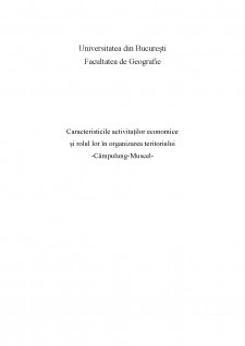 Caracteristicile activităților economice și rolul lor în organizarea teritoriului - Campulung-Muscel - Pagina 1