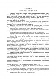 Apiterapia - Pagina 1