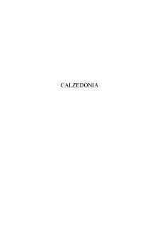 Calzedonia - Pagina 1
