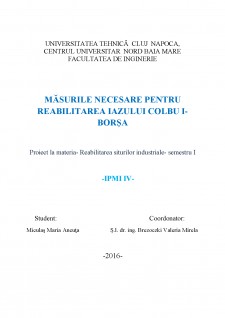 Măsurile necesare pentru reabilitarea iazului Colbu I - Borșa - Pagina 1