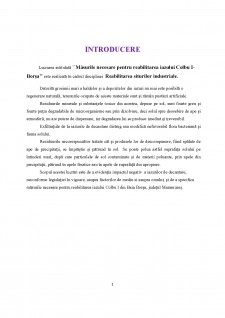 Măsurile necesare pentru reabilitarea iazului Colbu I - Borșa - Pagina 3