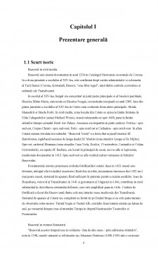 Strategia de dezvoltare durabilă a orașului Brașov - Pagina 4