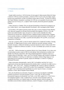Analiza SWOT la Sergiana Group - Pagina 4