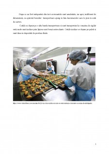 Ambalaje și design în industria alimentară - Croissant - Pagina 5