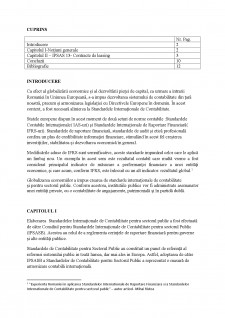 Standarde contabile în sectorul public - Pagina 2
