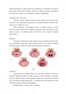 Nașterea fiziologică - Pagina 3