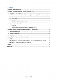 Proiect de strategie în domeniul privat - Societate Profesională de practicieni în insolvență - Pagina 2