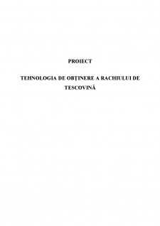 Tehnologia de obținere a rachiului de tescovină - Pagina 2