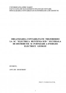 Organizarea contabilității trezoreriei la SC Electrică Muntenia Sud sucursală de distribuție și furnizare a energiei electrice Giurgiu - Pagina 1