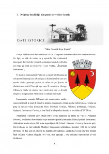 Paternul de dezvoltare a localității Fălticeni - Pagina 3
