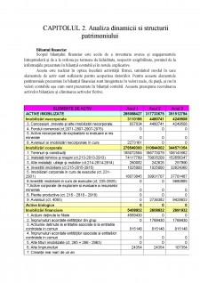 Diagnosticul financiar al firmei Compa SA - Pagina 4