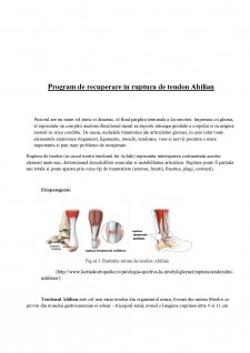 Program de recuperare în ruptură de tendon Ahilian - Pagina 2