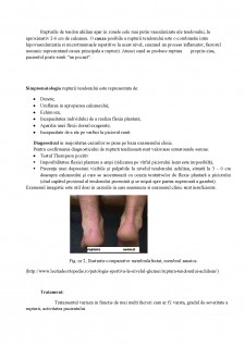 Program de recuperare în ruptură de tendon Ahilian - Pagina 3