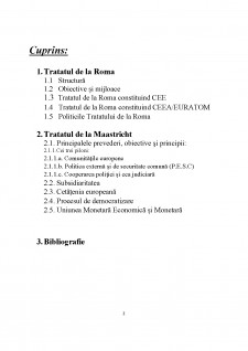 Tratatul de la Roma vs tratatul de la Maastricht - Pagina 2